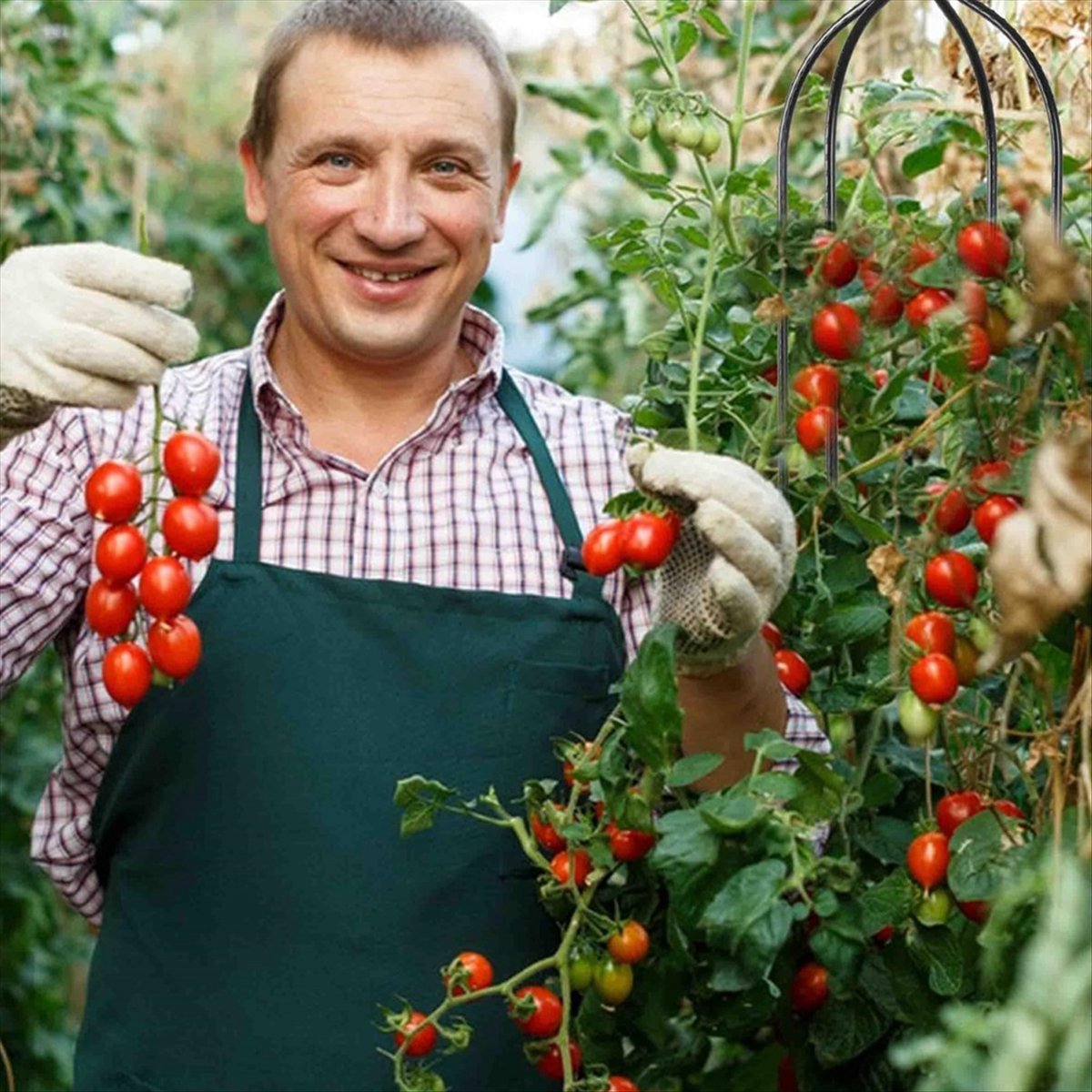 Gardening Tools B&Q - AT16 Tırmanıcı Bitki Dikme Çardağı, Bahçe