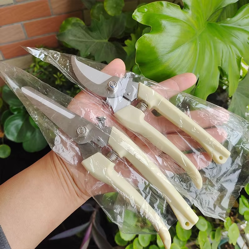 Paslanmaz Çelik Budama Makası  - Gardening Tools To Cut Branches incelemesi ve fiyatı