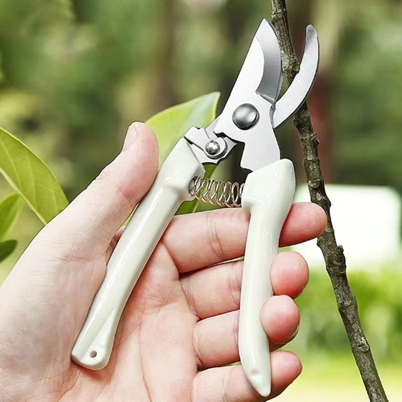 Paslanmaz Çelik Budama Makası  - Gardening Tools To Cut Branches incelemesi ve fiyatı