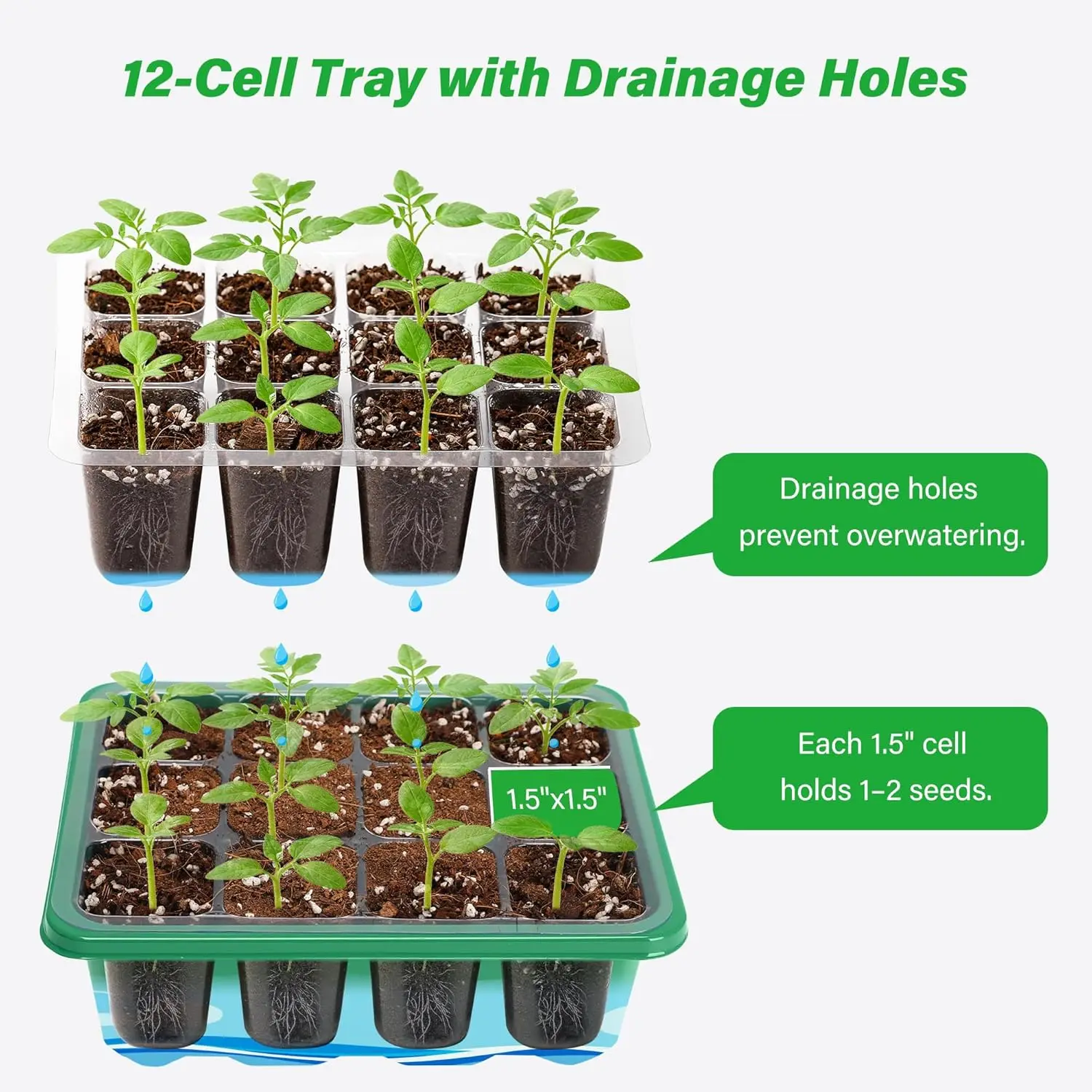 6/12 Bölmeli Yetiştirme Başlan - Propagation Tray Dome incelemesi ve fiyatı