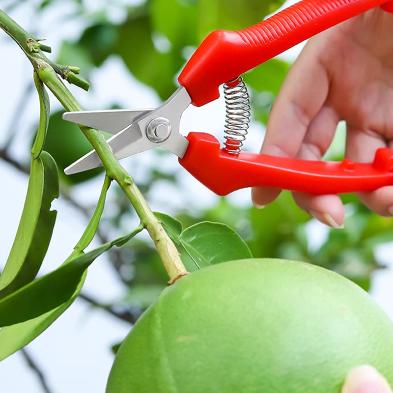 Tek elle kullanılan makas buda - Gardening Tools To Cut Branches incelemesi ve fiyatı