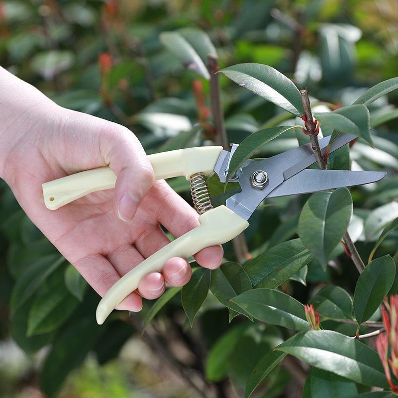 Paslanmaz Çelik Budama Makası  - Gardening Tools To Cut Branches incelemesi ve fiyatı
