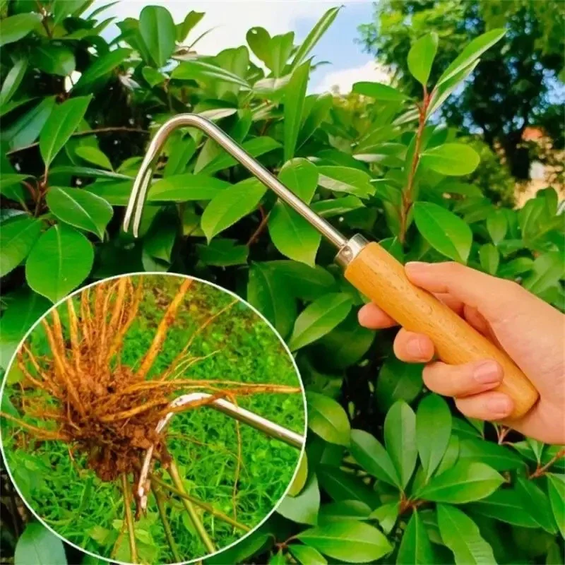 Paslanmaz Çelik Bahçe Weeder M - Grass Seed Spreader incelemesi ve fiyatı