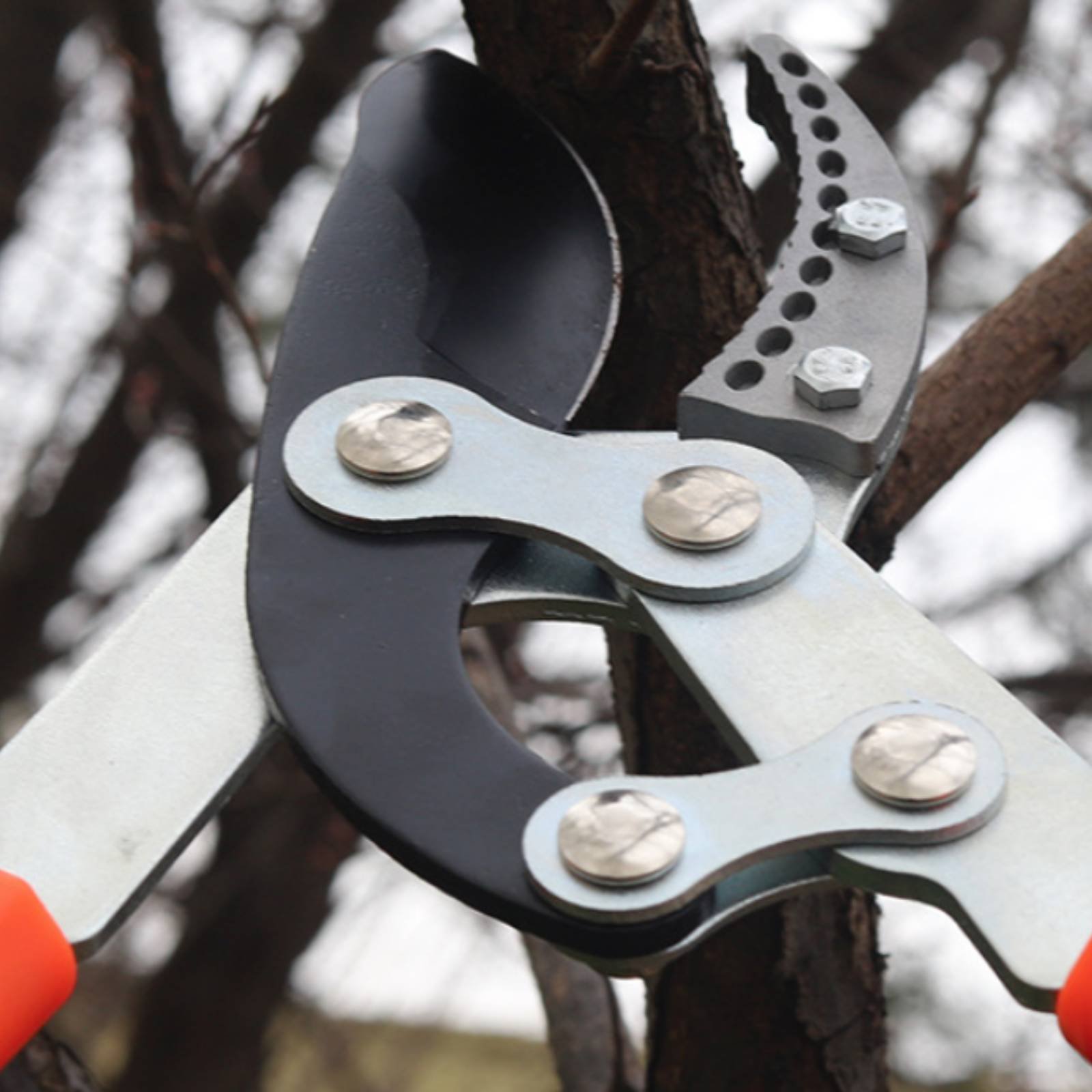 Teleskopik Dal Budama Makinele - Gardening Tool incelemesi ve fiyatı