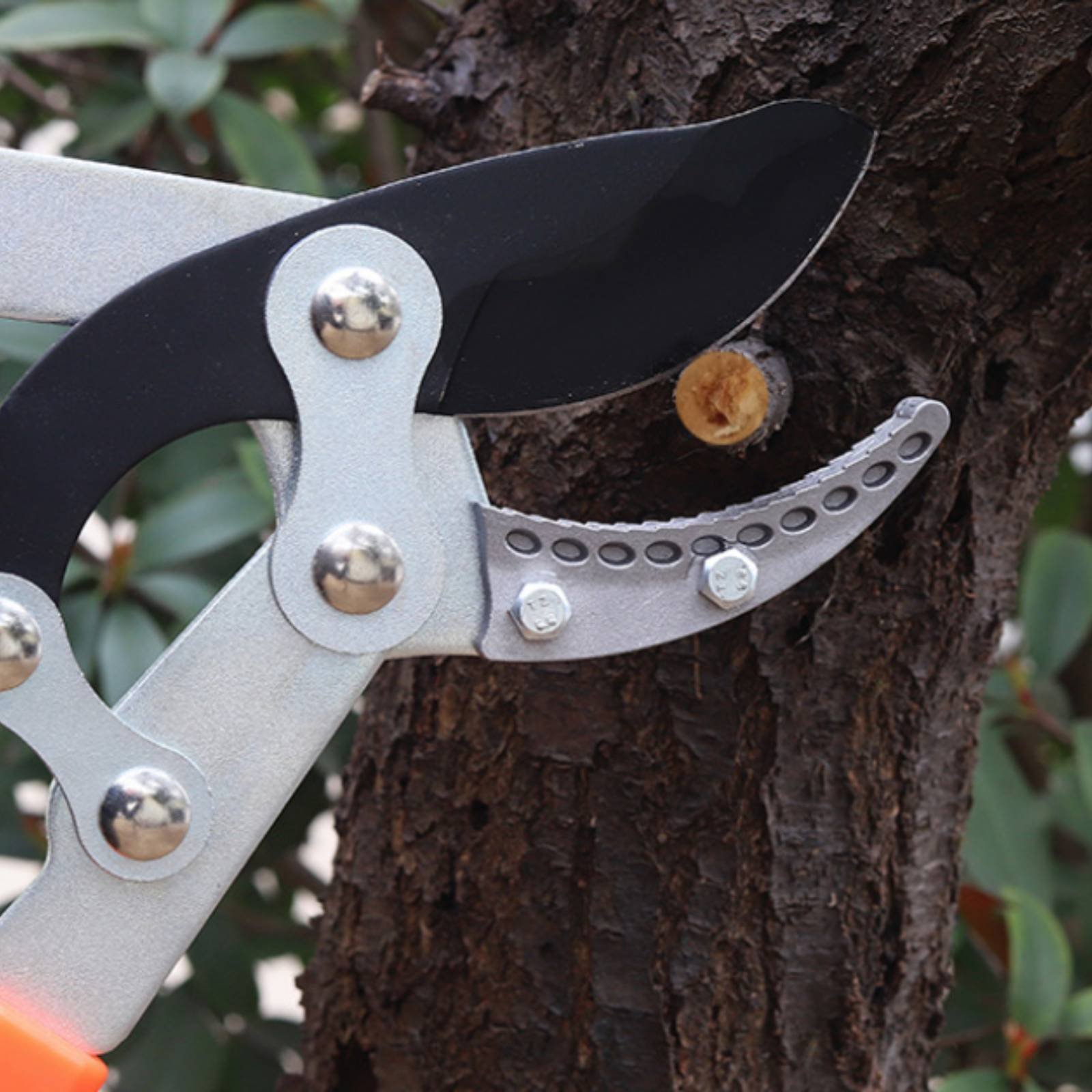 Teleskopik Dal Budama Makinele - Gardening Tool incelemesi ve fiyatı