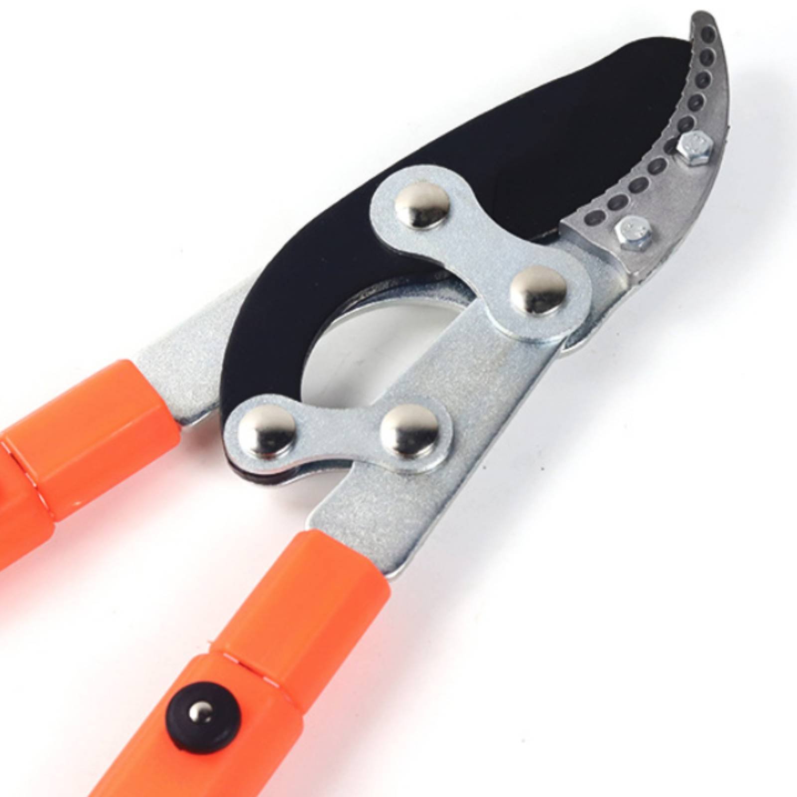 Teleskopik Dal Budama Makinele - Gardening Tool incelemesi ve fiyatı