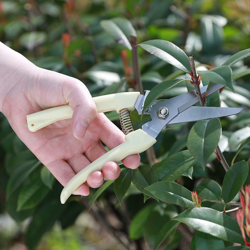 1 adet paslanmaz çelik budama  - Gardening Tools To Cut Branches incelemesi ve fiyatı
