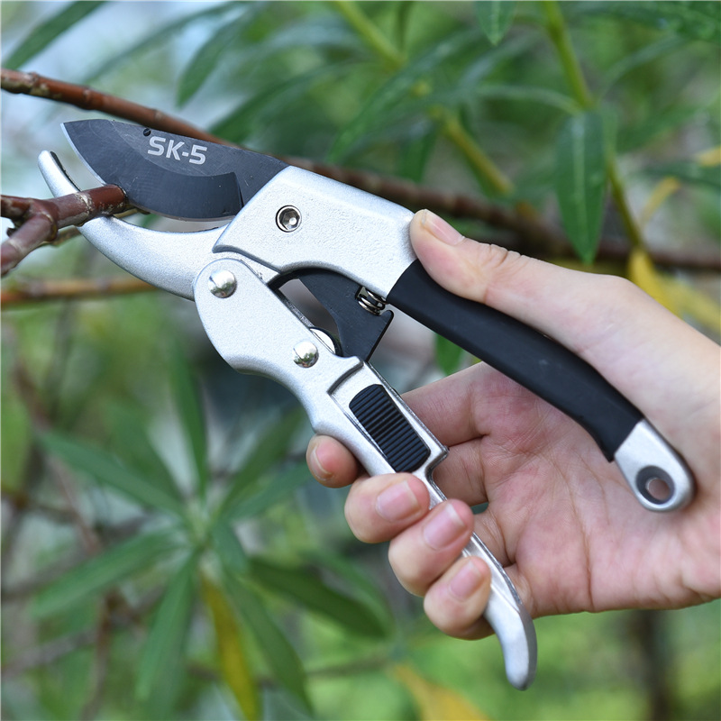 Yeni 20 cm Cırcır Bitki Trim B - Gardening Tools To Cut Branches incelemesi ve fiyatı