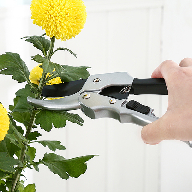 Yeni 20 cm Cırcır Bitki Trim B - Gardening Tools To Cut Branches incelemesi ve fiyatı