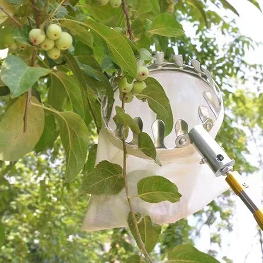 Profesyonel meyve toplama alet - Gardening Tools Organizer incelemesi ve fiyatı