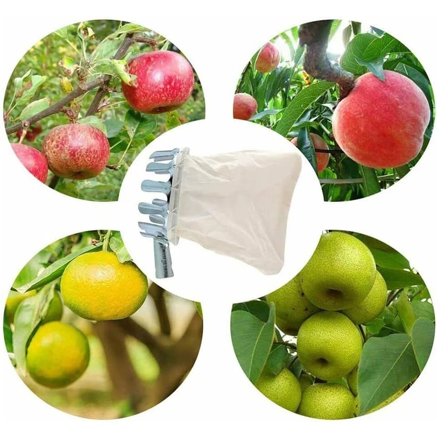 Profesyonel meyve toplama alet - Gardening Tools Organizer incelemesi ve fiyatı