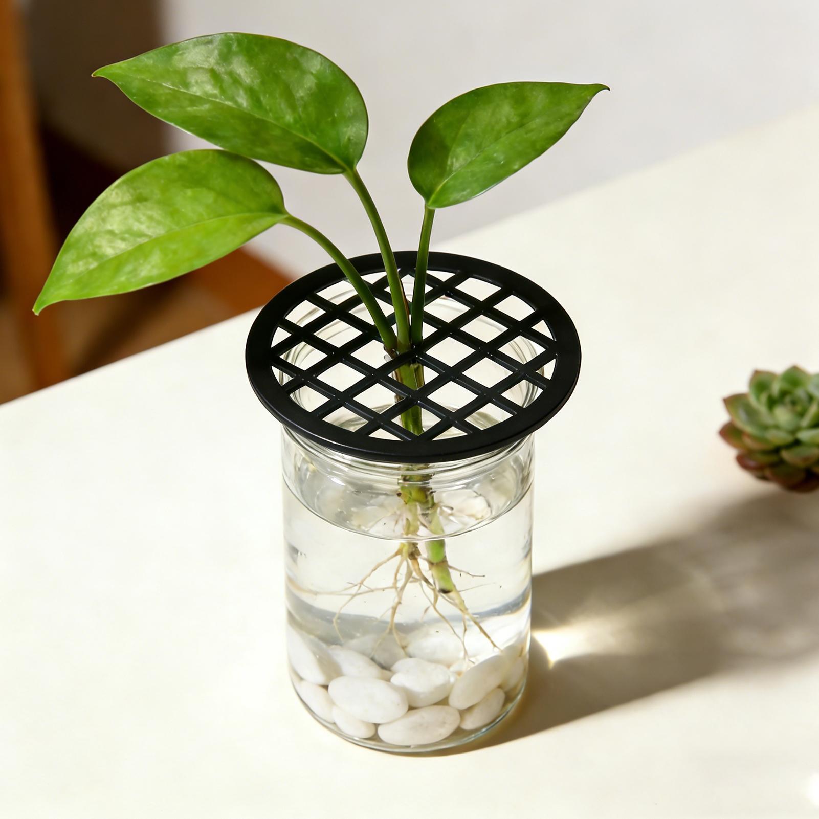 Bitki Dalı Desteği 4 Adet Yeşi - Propagation Tray Dome incelemesi ve fiyatı